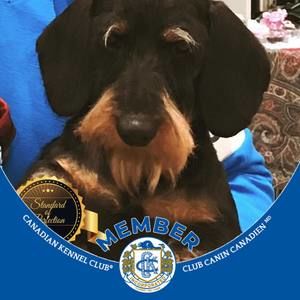 Meet your Posher, Sue-ellyn